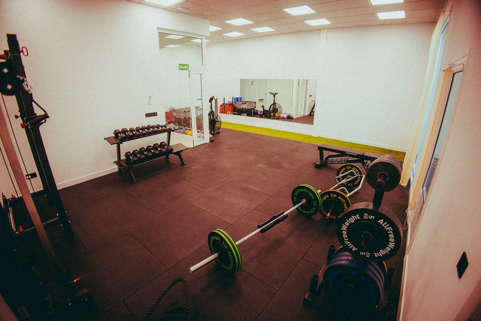 Vista general del gimnasio de RAÍZA con mancuernas, barras, banco y zona de césped.